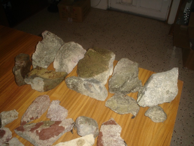 pierres et sol pour cichlidés Dsc08819