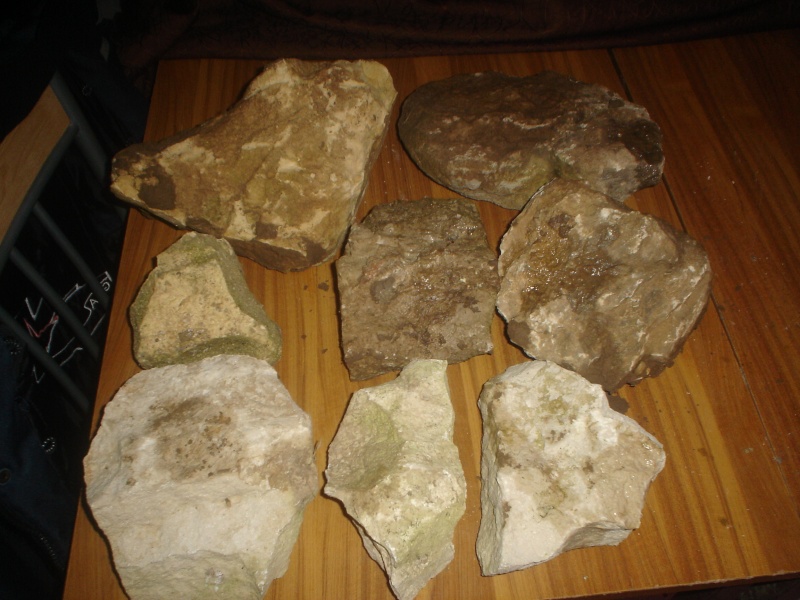 pierres et sol pour cichlidés Dsc08828
