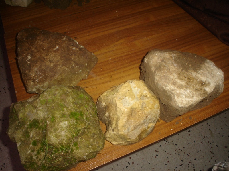 pierres et sol pour cichlidés Dsc08829