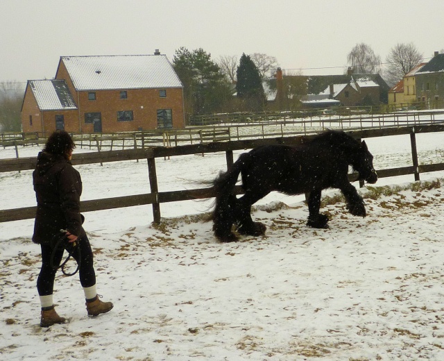 Corrida de la St Valentin sous la neige... P1000228