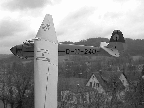 Segelflugzeug DFS Meise - Seite 2 Me10sw10
