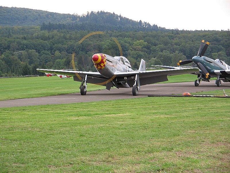 N.A. P-51 "MUSTANG" - Vorbilder & Modelle Mu0310