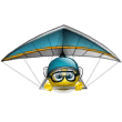 sportlicher Wettstreit 2009 >>> Pitts S2B von answer Smiley10