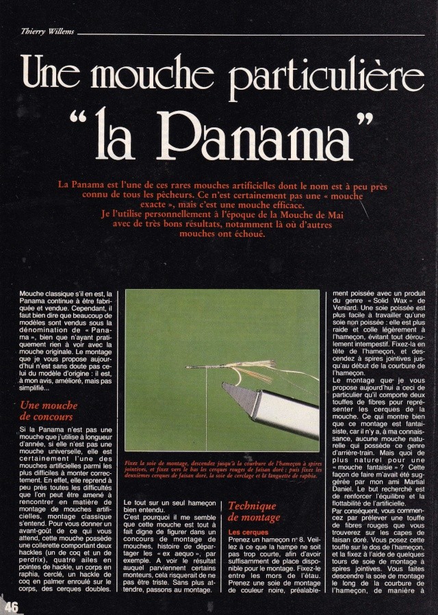 QUELLE MOUCHE - Page 2 Panama10