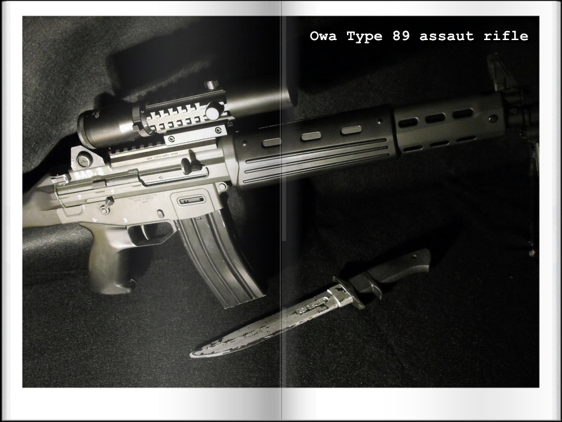 VENDS Tokyo Marui Type 89 [VENDU] Dscf0910