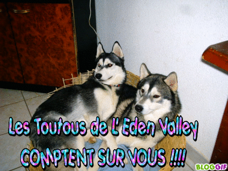 chiens de l'Eden Valley à parrainer Les_to10