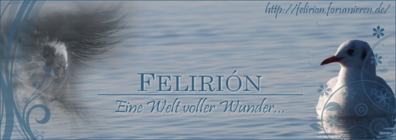 Felirión - Wenn Träume fliegen lernen Banner15