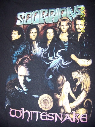 Your favorite band t-shirt - Page 3 Camisa15