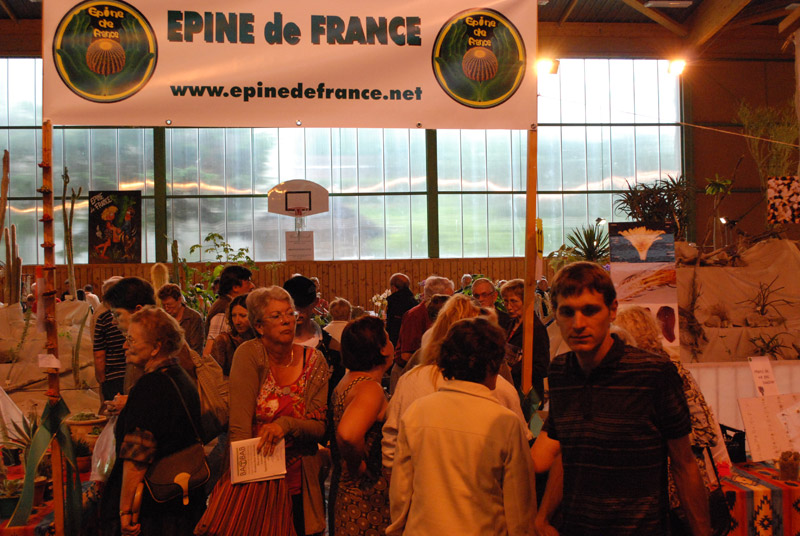 Le topic unique en photos de la Saint-Hip'aux cactus 2010 13-06-12