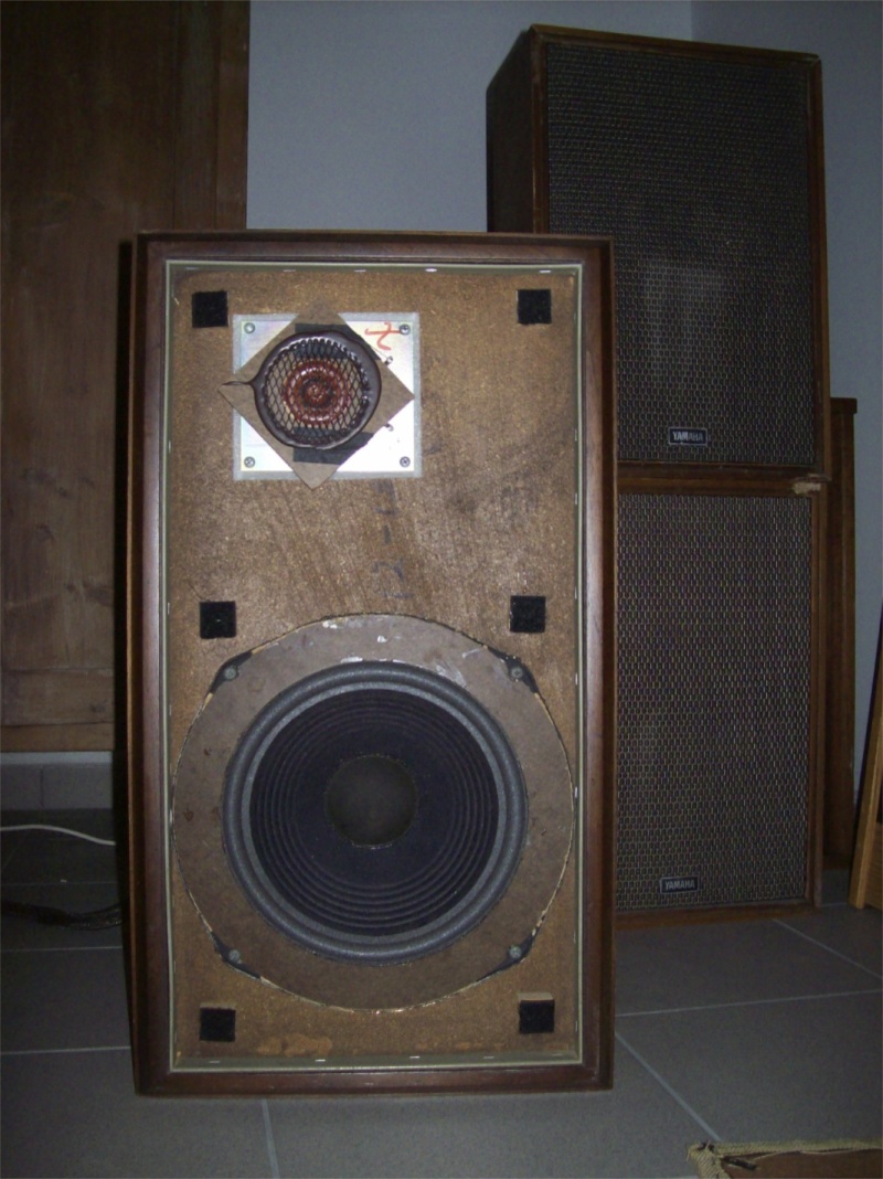 [VENDUTO] Advent Large Speakers 300 euro + spese 101_2113
