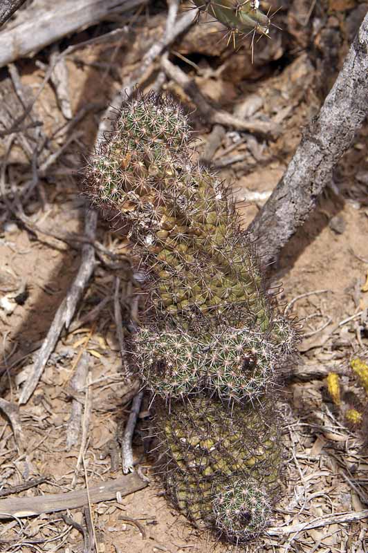 Mexico trip - part 9 Pict1120