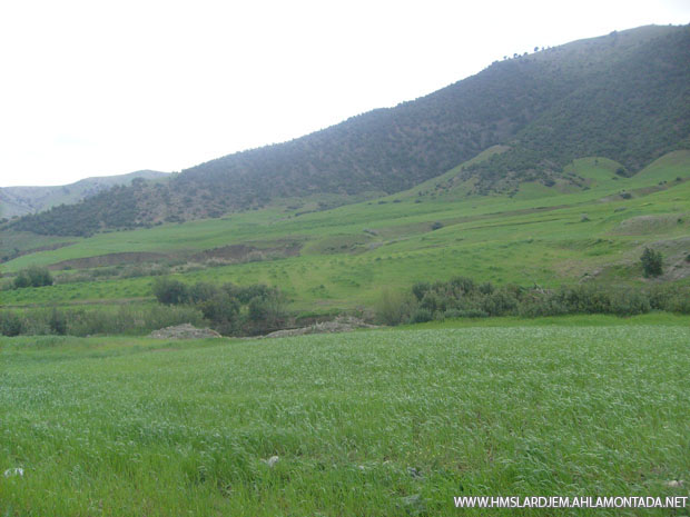 صور من واد بوزقزة في الجزائر S7302984