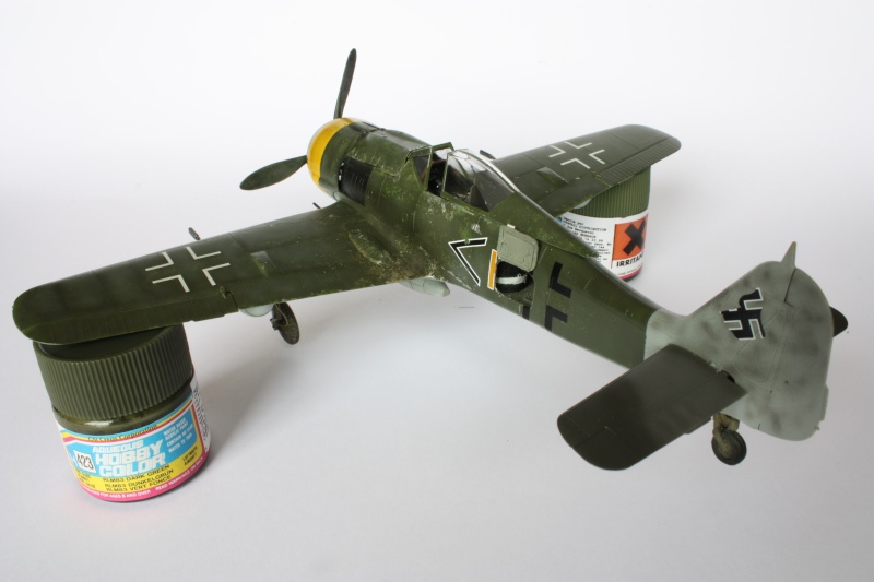 [Eduard, 1/48e] Fw 190F-8 Img_5327