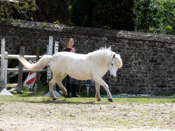 Journée avec ma Beautée :D Pictur10