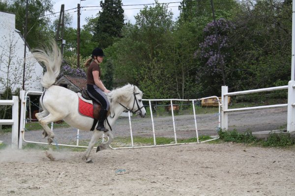 Journée avec ma Beautée :D Pictur31