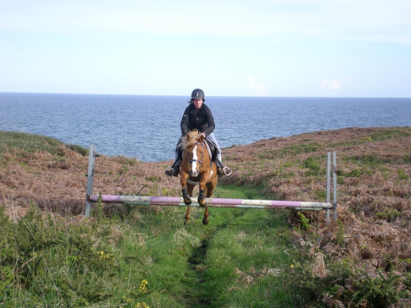 Obstacle dans la lande ... Dscn6217