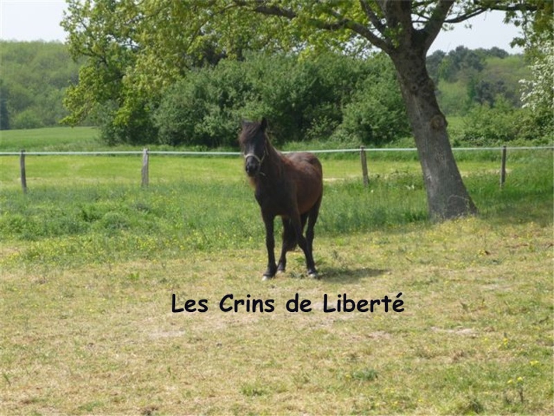 CHOCOLAT et  Sandrine !!!!!!!! (Mai 2010) P1120516