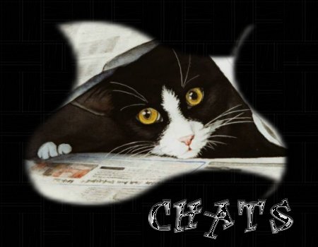 La Priere du chat  Chats-10