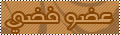 عضو فضى عضو فضى