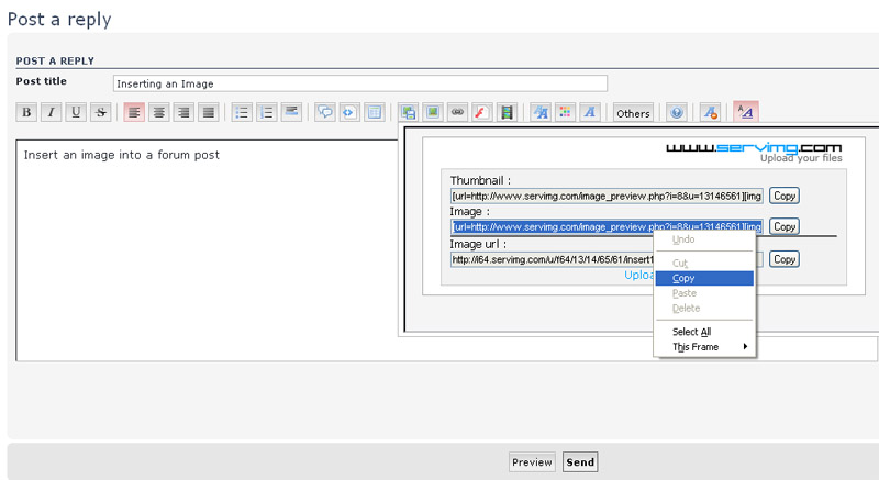 How to insert an image into a forum post - quick guide Insert13