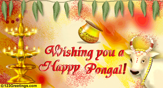 Happy Pongal 7552-010