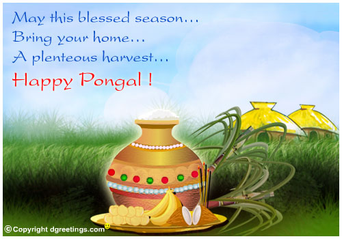 Happy Pongal Pongal10