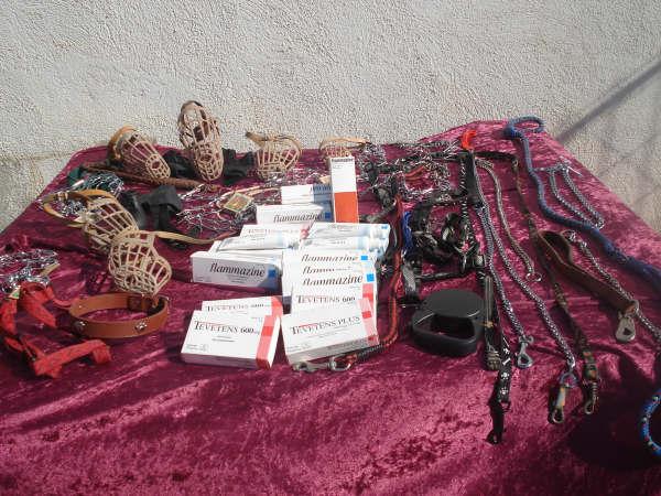 Donacion de San Valperrin de pienso, mantas, collares, chucherias, latas, medicamentos, correas etc etc etc 23_02_12
