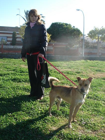 Voluntarios de Cunican paseando perros! Vol10