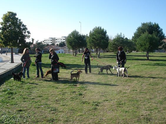 Voluntarios de Cunican paseando perros! Vol1110