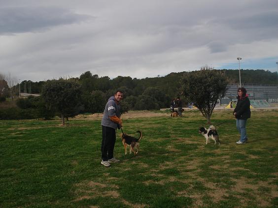 Voluntarios de Cunican paseando perros! Vol2610