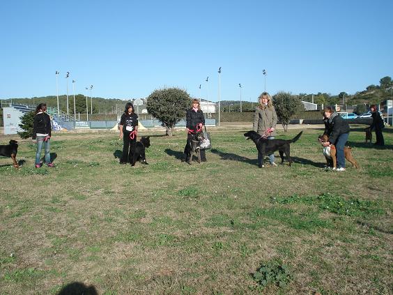 Voluntarios de Cunican paseando perros! Vol410