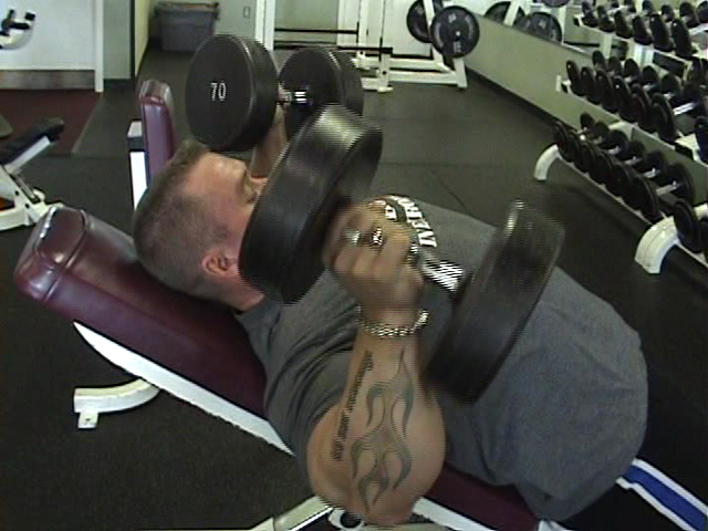 Lee Priest - Page 16 Vlcsna56