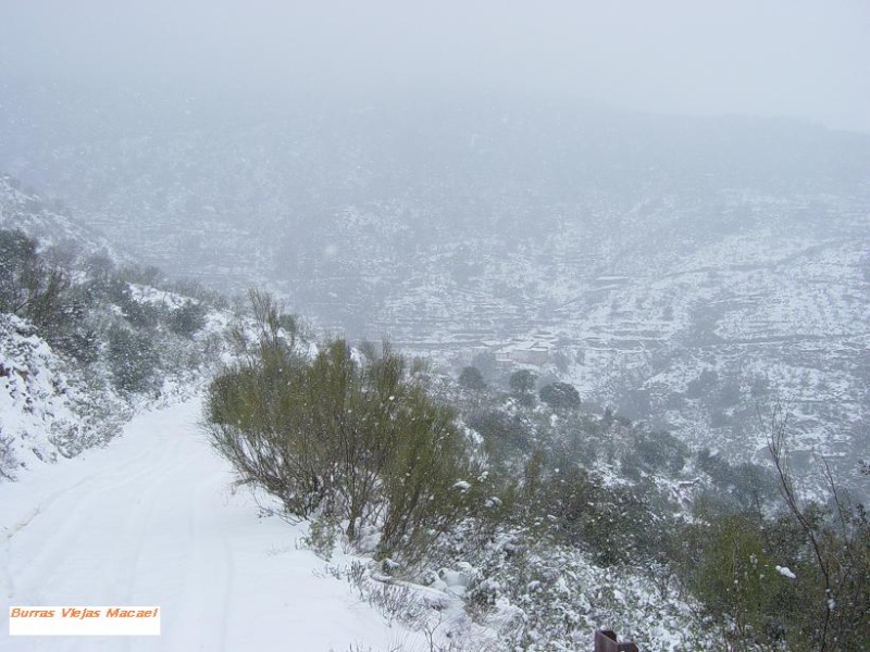 Ruta del Alhamil con nieve. Alamil14