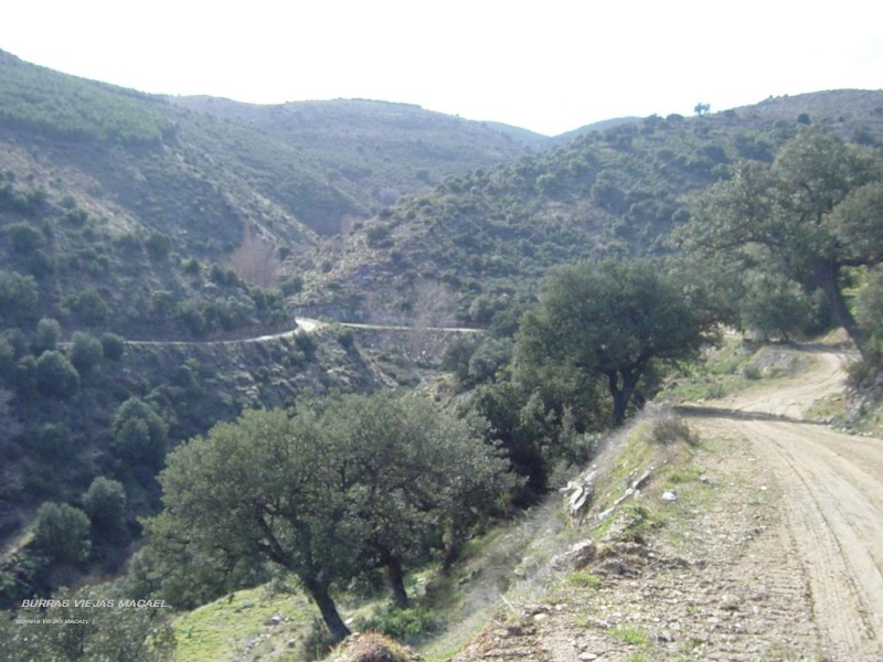 I marcha sierra de los Filabres Marato10