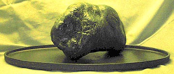 Animal stone Buffal10