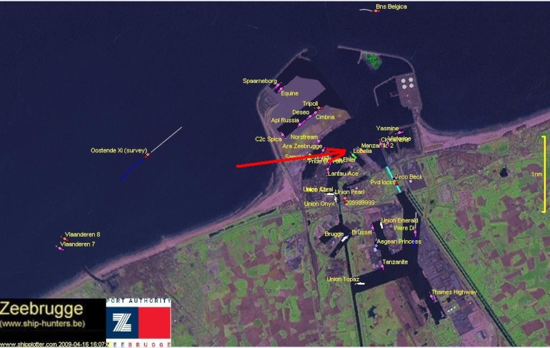 Photos en direct du port de Zeebrugge (webcam) - Page 14 Zeebru10