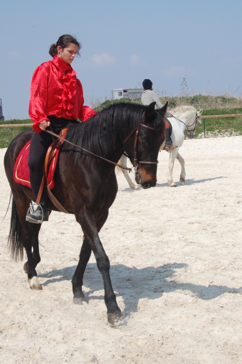 photo de vous en Dressage .. - Page 5 Dsc_0010