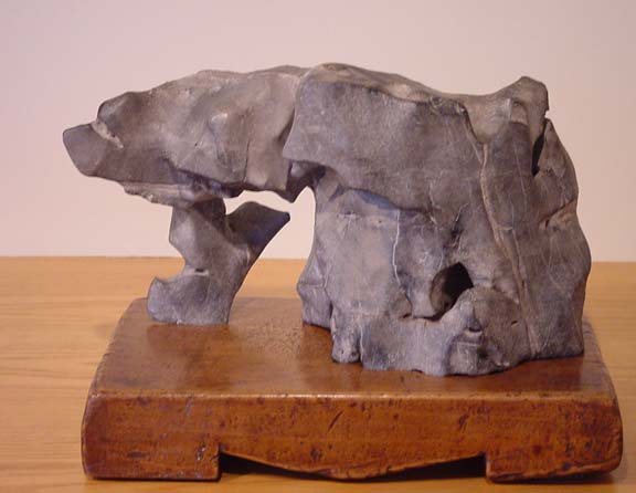 Test - Limestone Bear? Pvsg2010