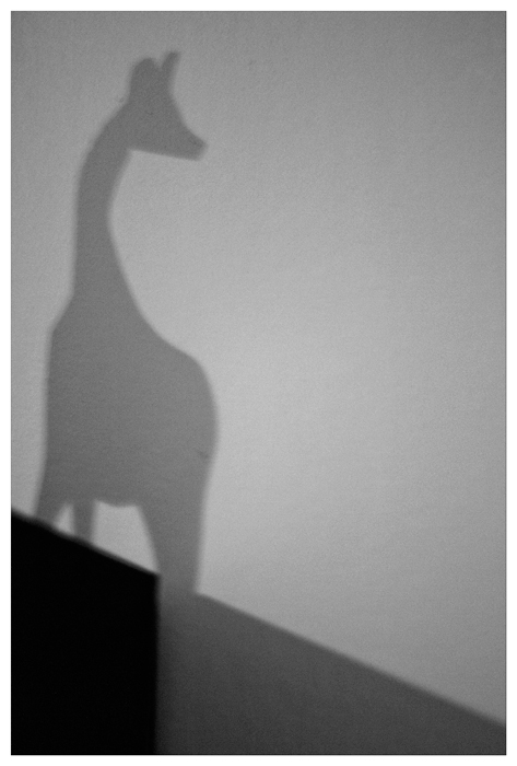 Girafka Girafe10