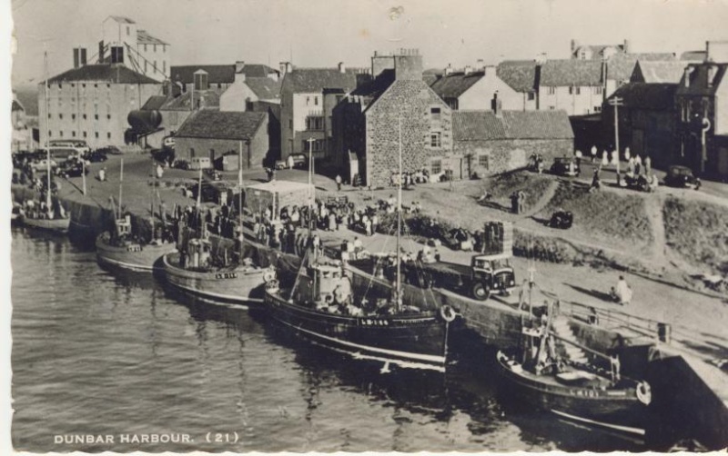 Dunbar harbour mid 50s Pictur38