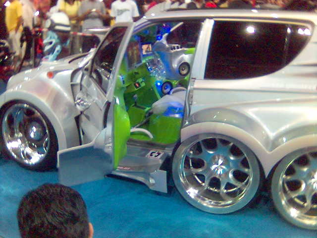Can You Believe This Is A Kenari? - Page 3 Kancil11