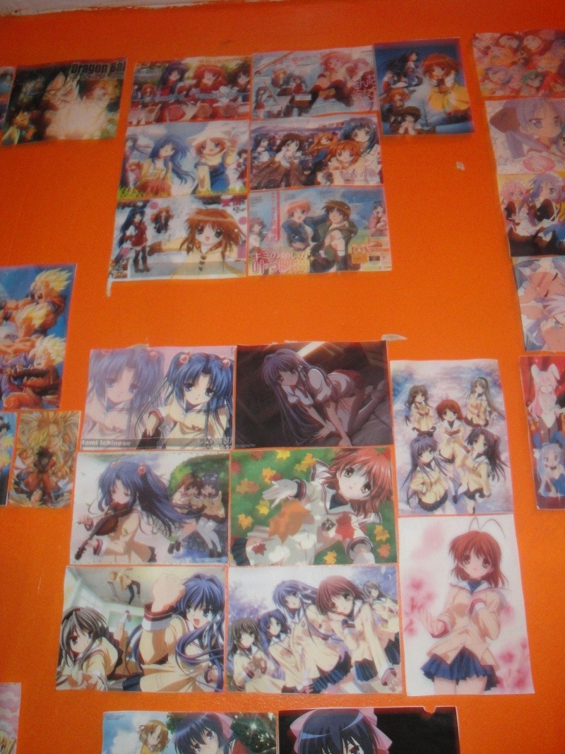 My Anime wall and wallscrolls as of now Dsc01214