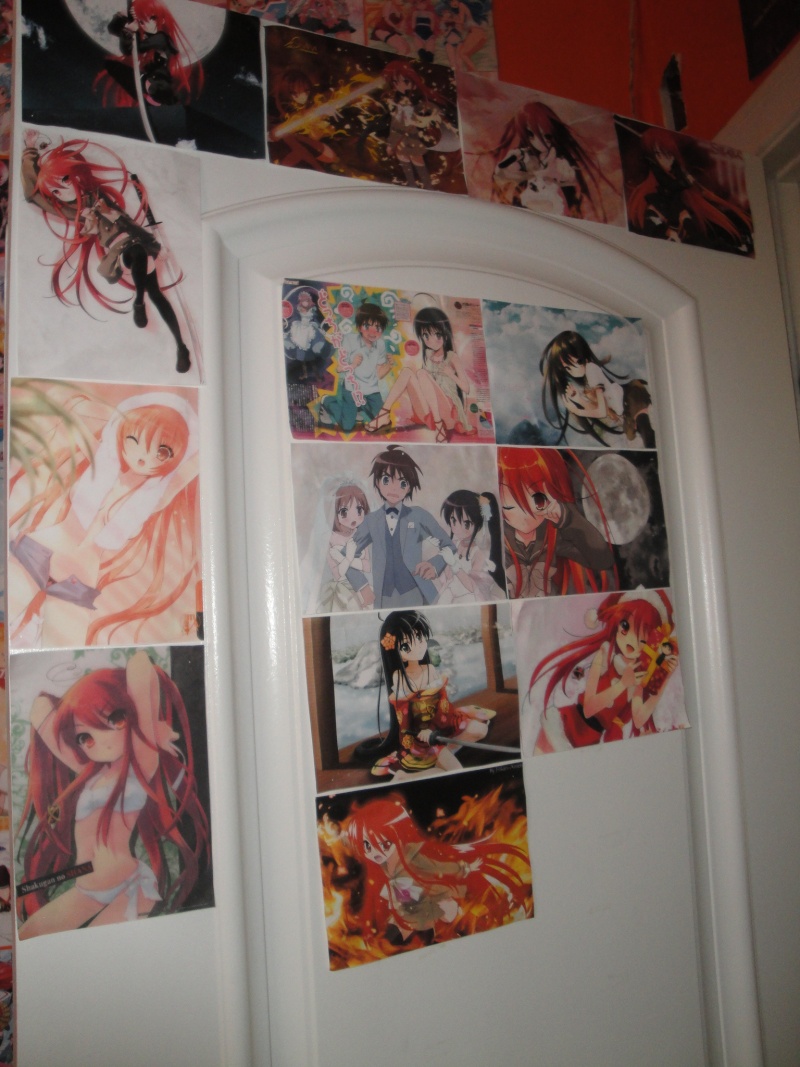 My Anime wall and wallscrolls as of now Dsc01324