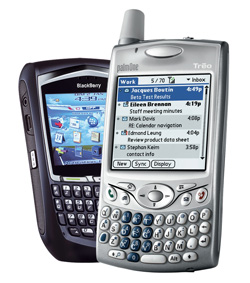Jude's BlackBerry Palm_b10
