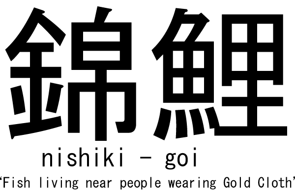 Glossary of terms used in koi appreciation Nishik10