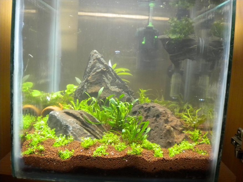 Aquarium 30 litres (nano)