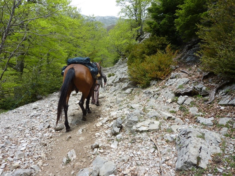 Tour de l'Obiou, Trièves et Dévoluy Tour_o14