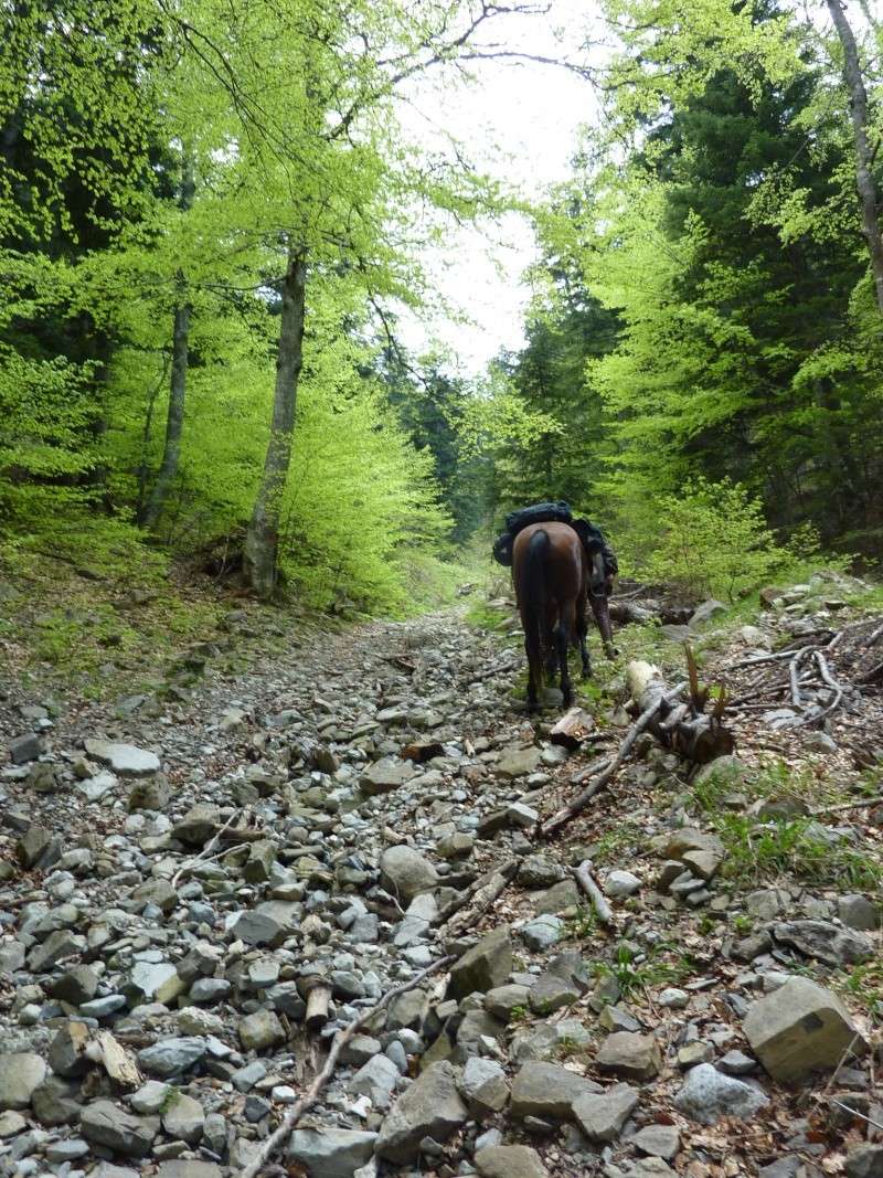 Tour de l'Obiou, Trièves et Dévoluy Tour_o39