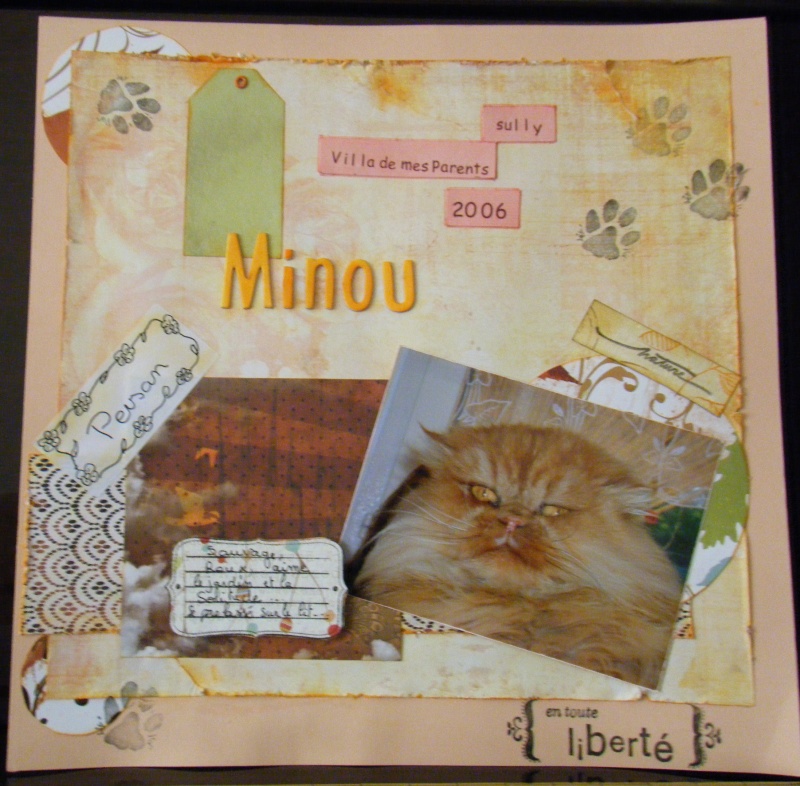 Vote pour les pages de la dicte de mai 2010 ! Minou10