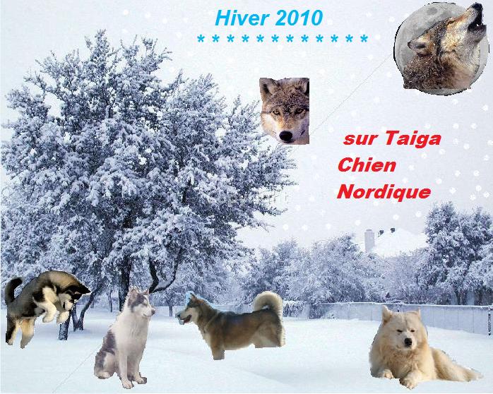 mes montages,bannieres,anniversaires,saisons,fete ...  - Page 2 Montag16